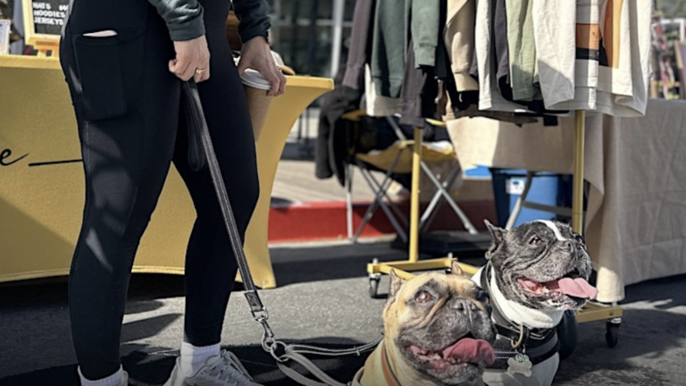 Two French bulldogs on leashes sit at the August Artisan Market near clothing racks and a yellow table, ready for dog-friendly fun.