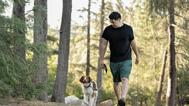 A man walks his leashed hound on a hiking trail in a forest near Los Angeles, wearing a black t-shirt and green shorts.