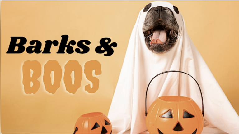 Dog in ghost costume sits by two pumpkin treat buckets. "Barks & Boos" text on orange background suggests a dog-themed Halloween event.