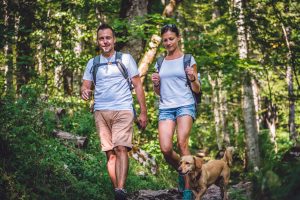 A vibrant dog park bathed in sunlight features abundant greenery with mature trees, offering ample shade for leisurely outdoor activities. In the distance is a well-equipped playground that presents an additional activity area. An inviting picnic table spreads out nearby, ideal for enjoying meals al fresco or taking relaxing breaks from play. A neatly-placed trash bin aids in maintaining the park's cleanliness for everyone's enjoyment. Dominating the scene is a generously wide dirt path gracefully curving through the expanse of grass, promising exploratory walks and lively fetch games.