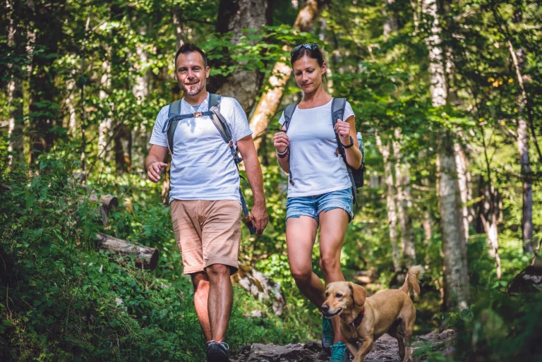 Image from GO stroll, (Safely) on DogTrekker
