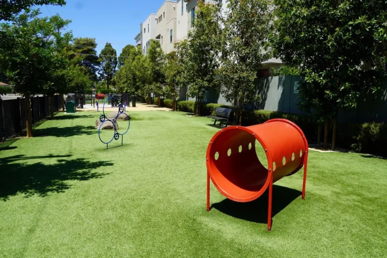 Nuevo Dog Park