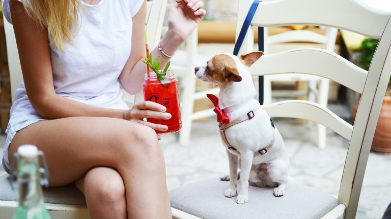 Woman in white shirt and shorts sips red drink at Bark n' Brunch; her small dog in red bow tie sits beside her, watching intently.