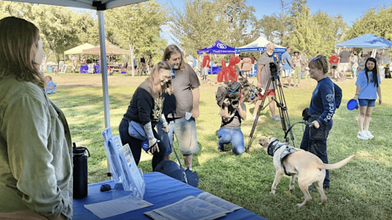 People and dogs mingle at BarktoberFest in Carmichael, exploring booths under tents, with live filming and shaded seating.