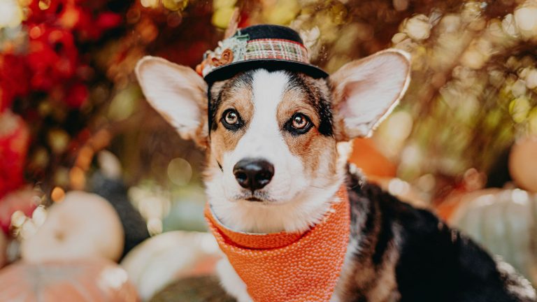 Bailey burton B7d1hyqh0sw unsplash