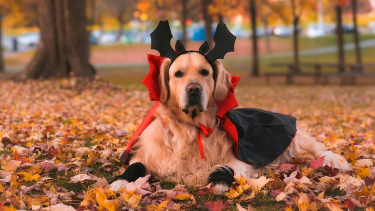 Naz israyelyan GPLACHw9Zeg unsplash