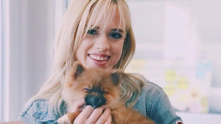 Groom – Dog Care with Love