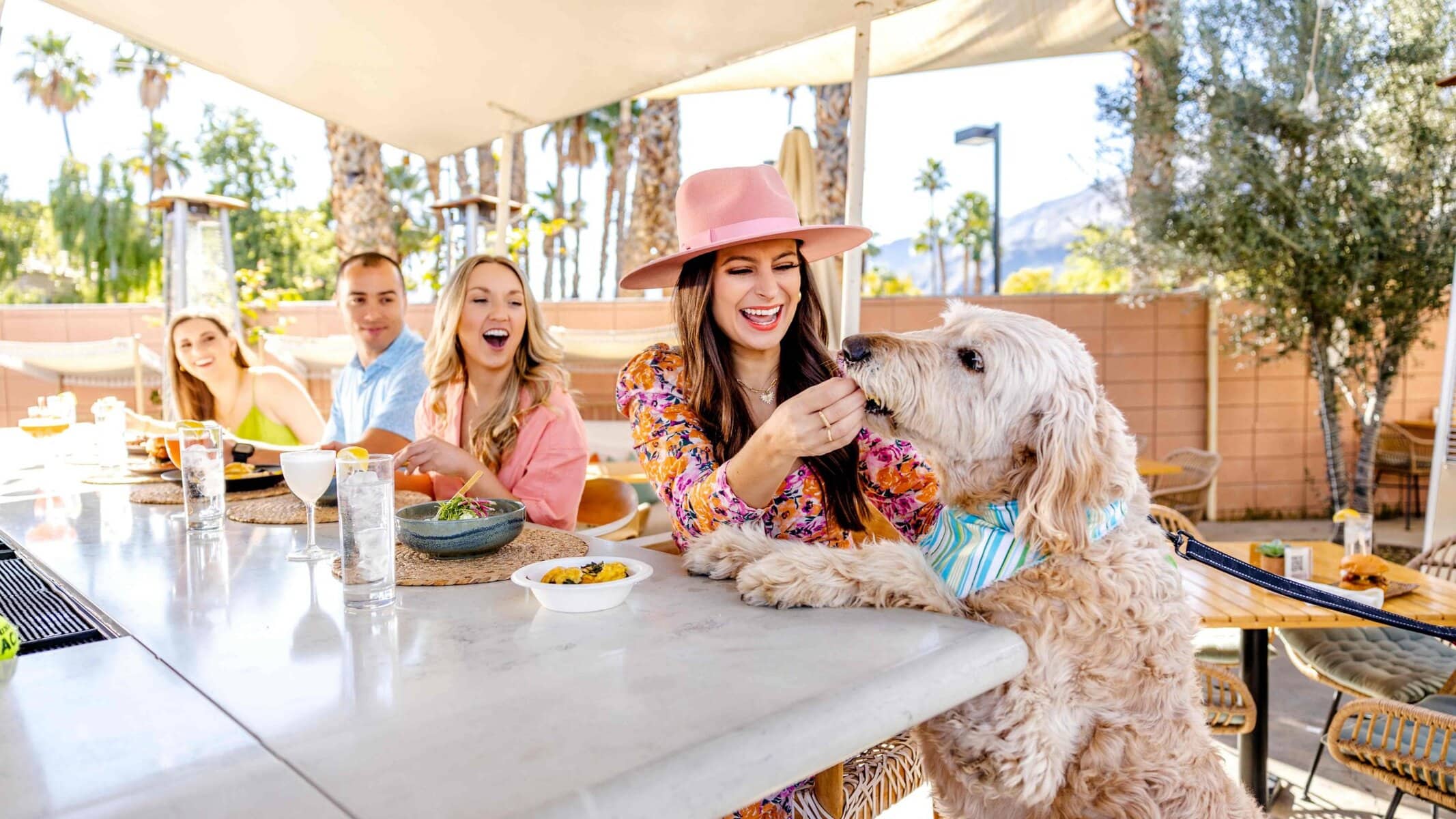 Dog with paws on counter at Boozehounds, Greater Palm Springs