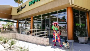 Four-legged fun: A dog-friendly itinerary