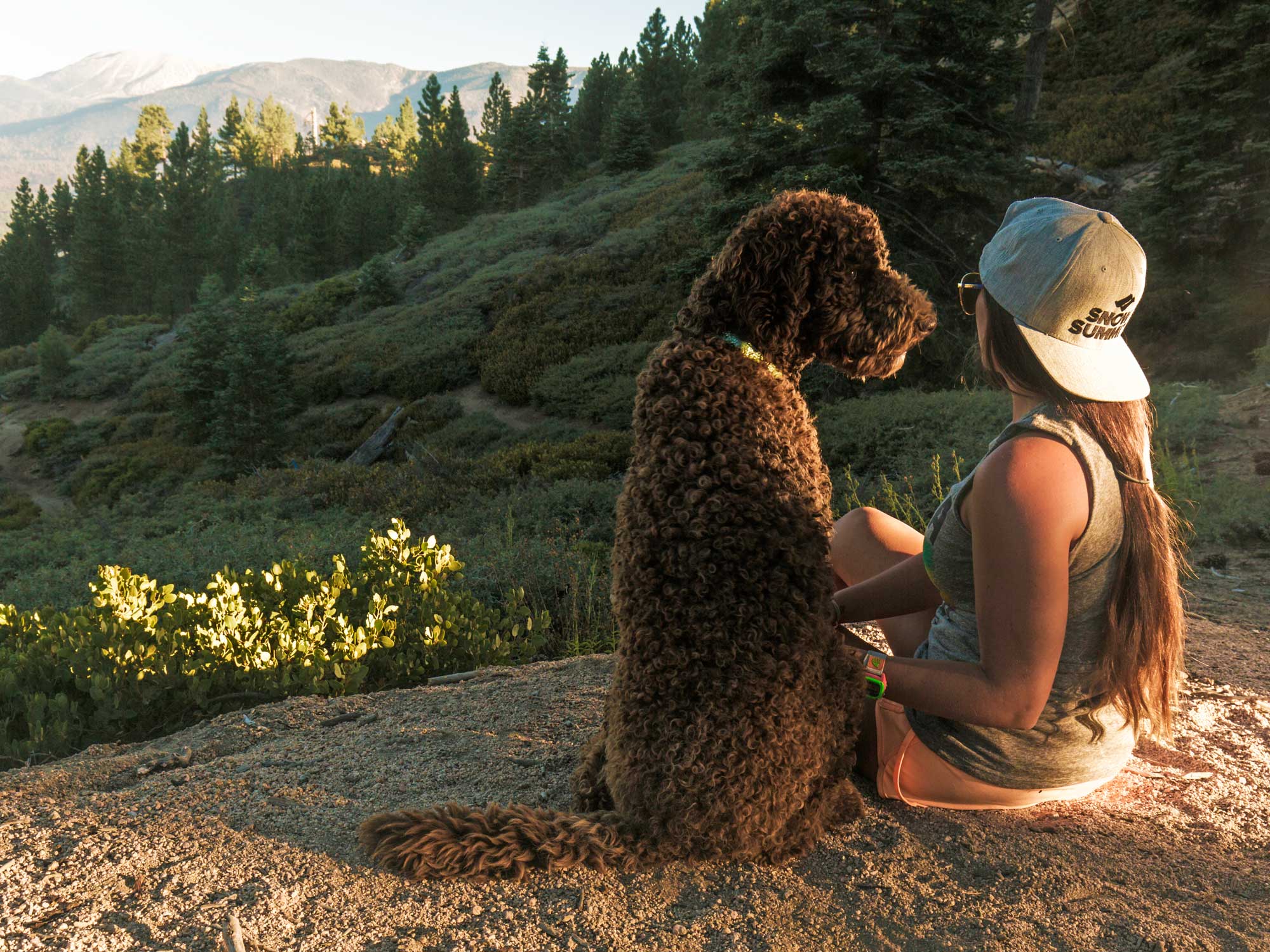 1. A woman with long hair wearing a cap sitting outdoors with her brown curly-haired dog on a mountain trail at sunset, surrounded by lush greenery and distant snow-capped peaks.