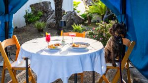 Dining pup cabana with dog at Little River Inn