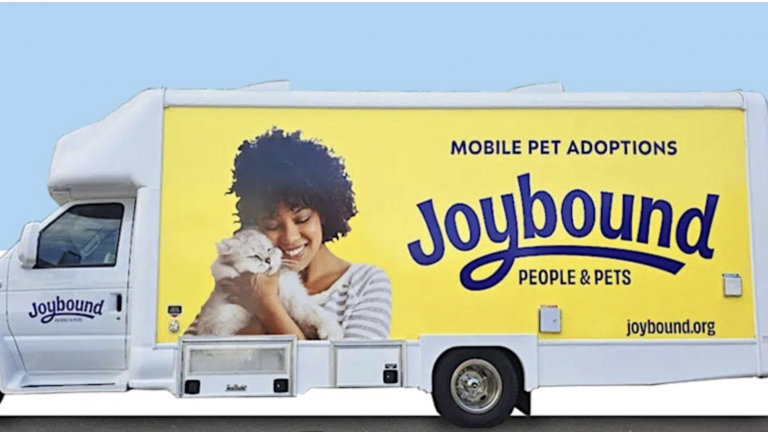 Happy woman holding a fluffy cat on a colorful mobile pet adoption truck for Joybound, promoting people and pet adoptions.