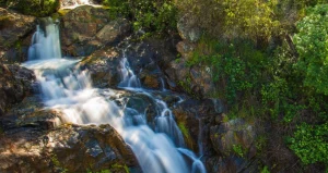 Hidden Falls Regional Park: dog-friendly hikes in Placer County