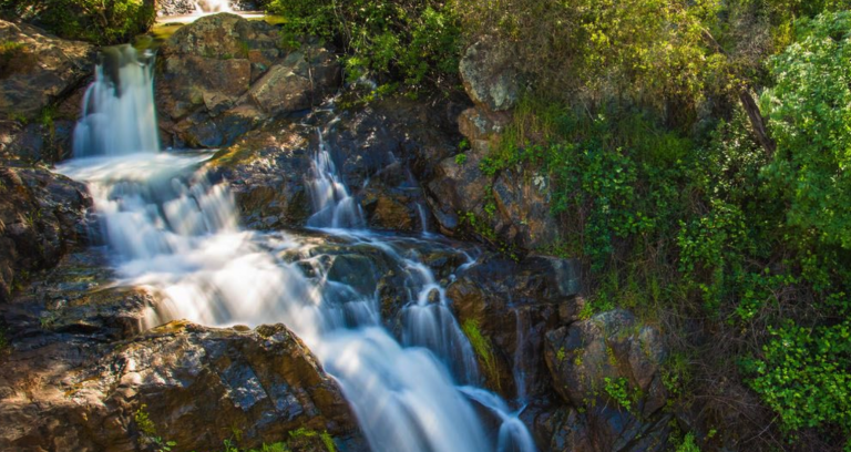 Hidden Falls Regional Park: Best dog-friendly hikes in Placer County