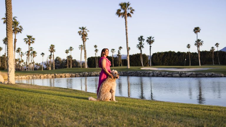 Year-round sunshine in Greater Palm Springs