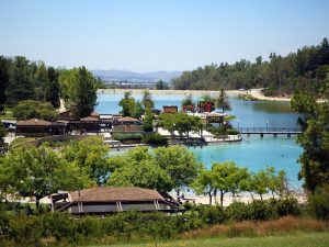Serene lake at dog-friendly park with walking trails, picnic areas, and a large playground, ideal for outdoor activities with dogs and families in a scenic natural setting.