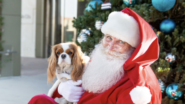 Screen Shot 2025 12 05 at 11.30.47 AM