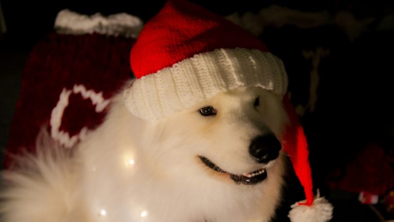 Christian testa DQRsrndG5go unsplash