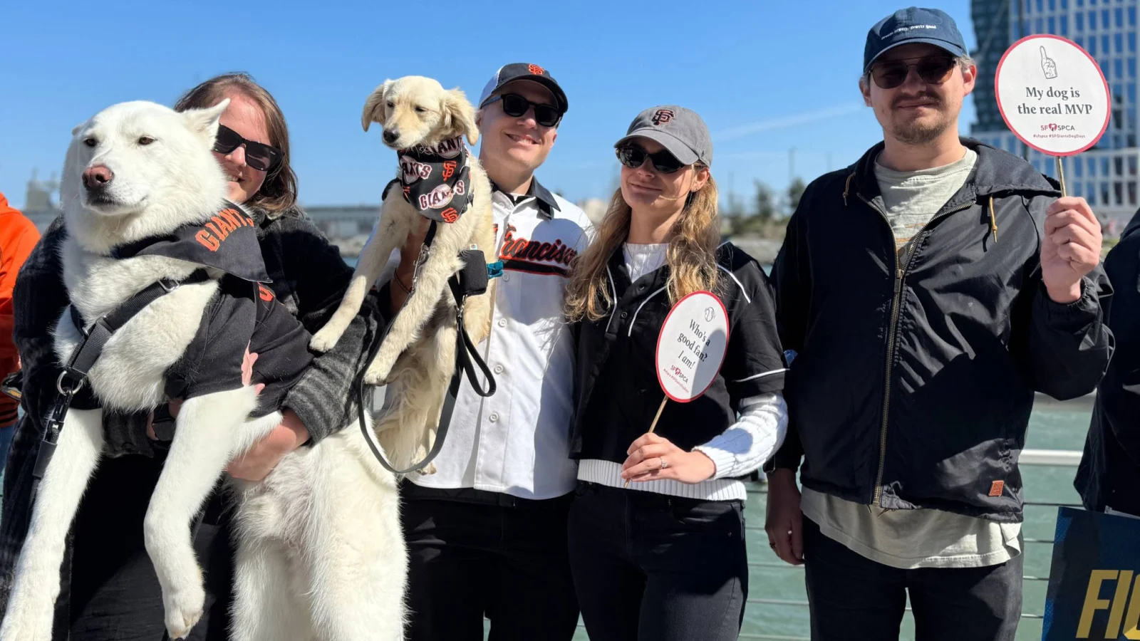 Dog Days at Oracle Park