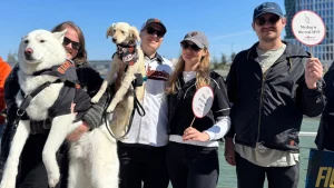 Dog Days at Oracle Park