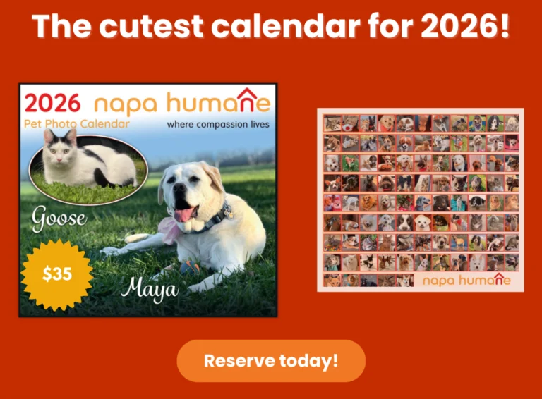 Napa Humane calendar