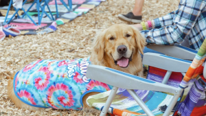 Butte Humane Woofstock