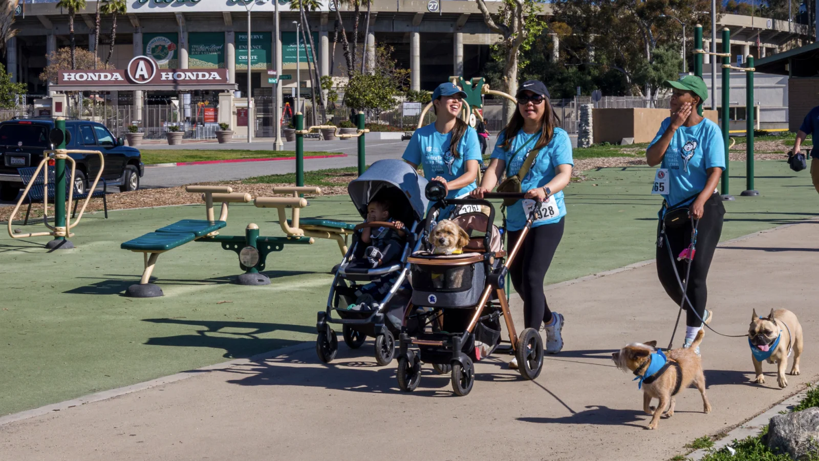 Wiggle Waggle Walk & Run
