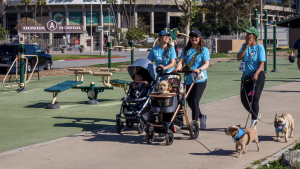 Wiggle Waggle Walk & Run