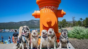 Puptopia Festival
