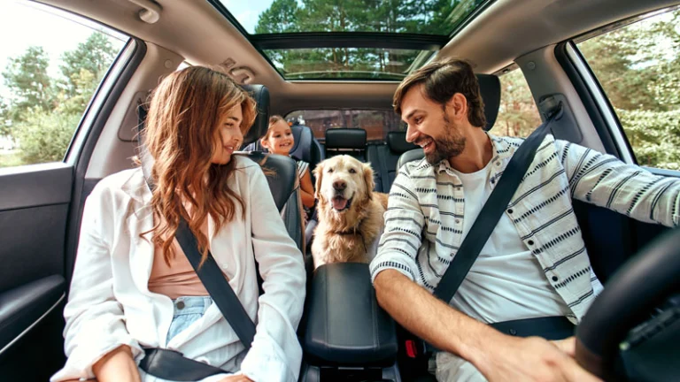 The year ahead in dog-friendly California, a dog-friendly road trip itinerary in California