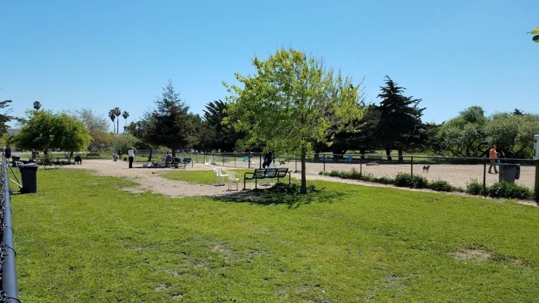 Alameda Large Dog Park, a dog-friendly dog park in Alameda County, California