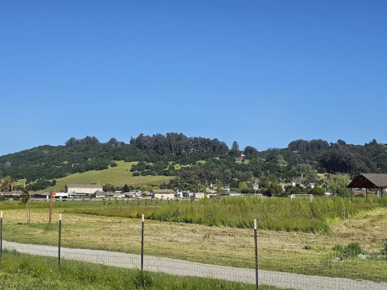 Aromas Dog Park, a dog-friendly dog park in Santa Clara County, California