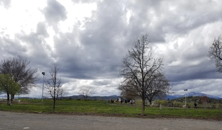Benton Dog Park, a dog-friendly dog park in Shasta County, California