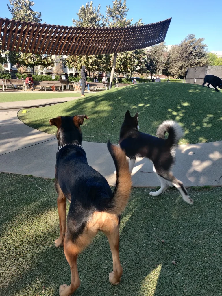Bluff Creek Dog Park, a dog-friendly dog park in Los Angeles County, California