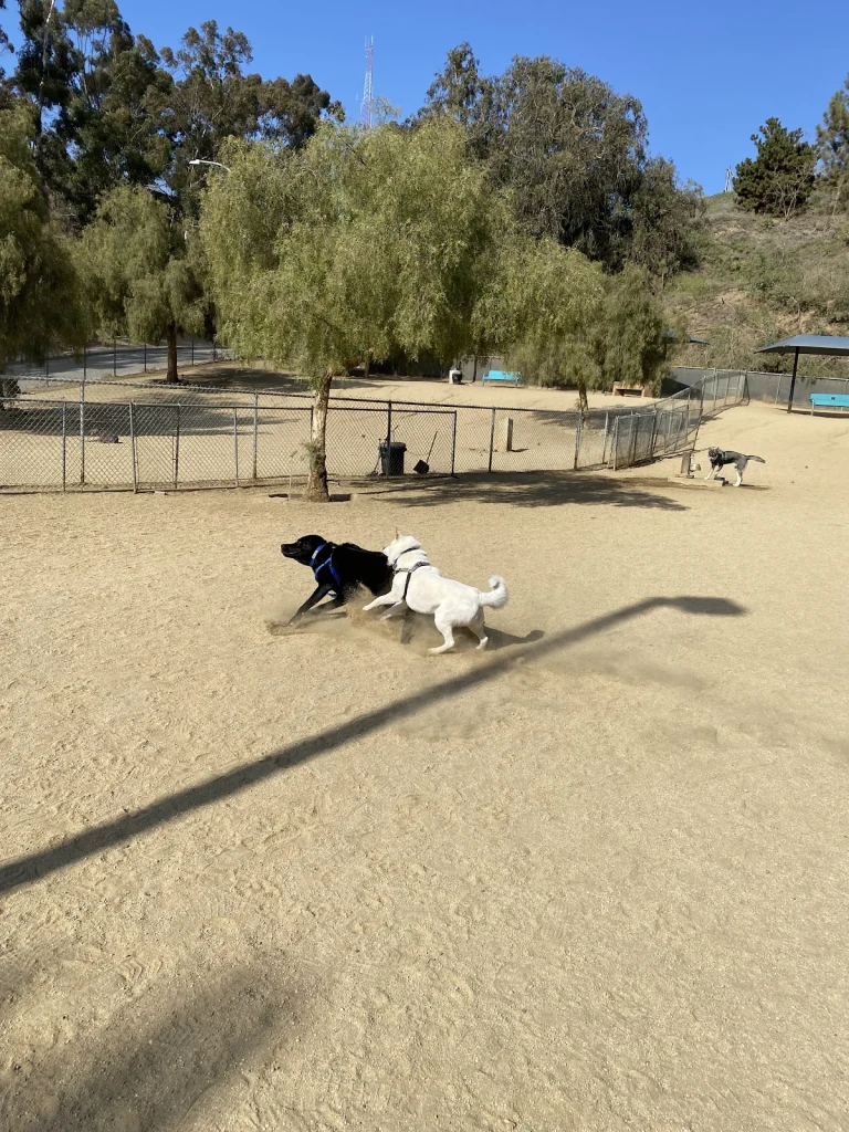 Boneyard Dog Park, a dog-friendly dog park in Los Angeles County, California
