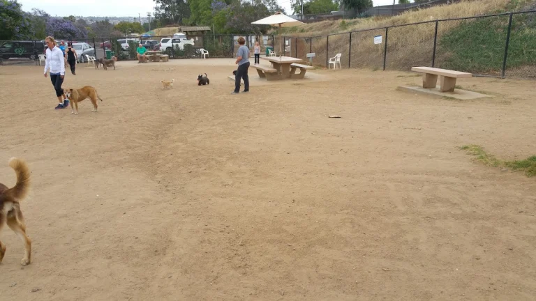 Capehart Park, a dog-friendly dog park in San Diego County, California