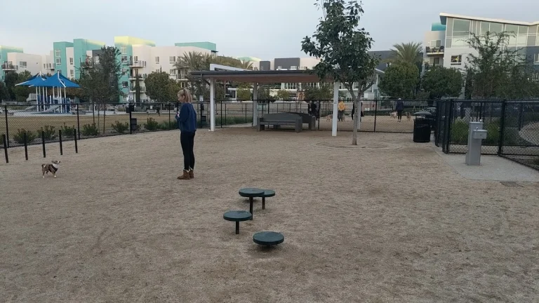 Centrum Dog Park, a dog-friendly dog park in San Diego County, California