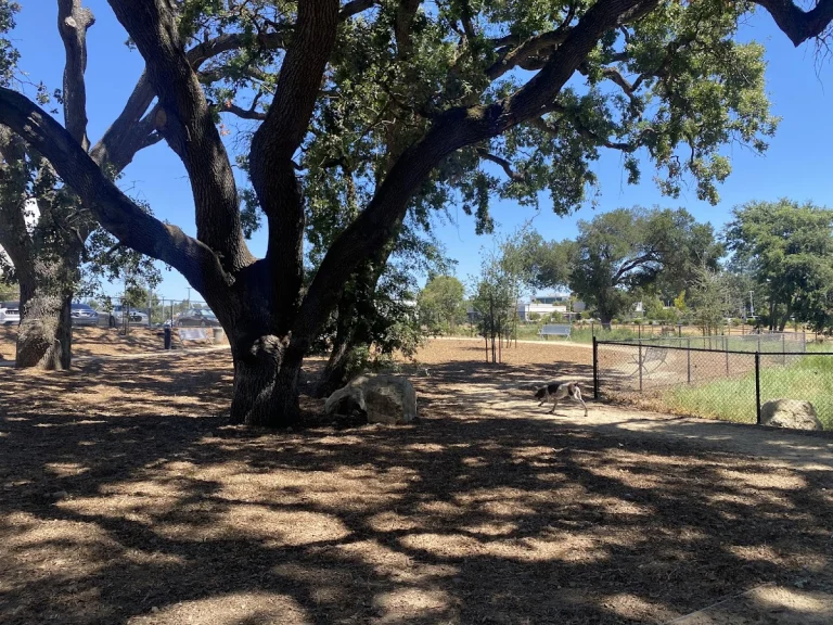 Chilpancingo Dog Park, a dog-friendly dog park in Contra Costa County, California