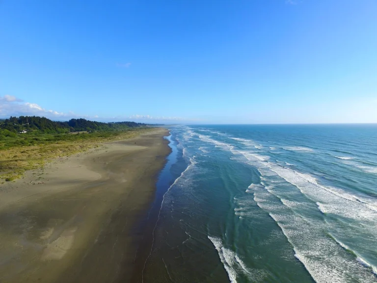 Clam Beach County Park, a dog-friendly dog park in Humboldt County, California