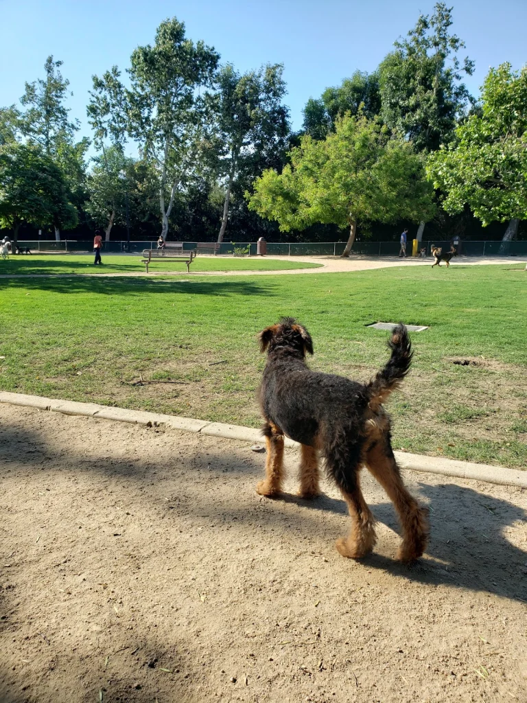 Claremont Pooch Park, a dog-friendly dog park in San Bernardino County, California