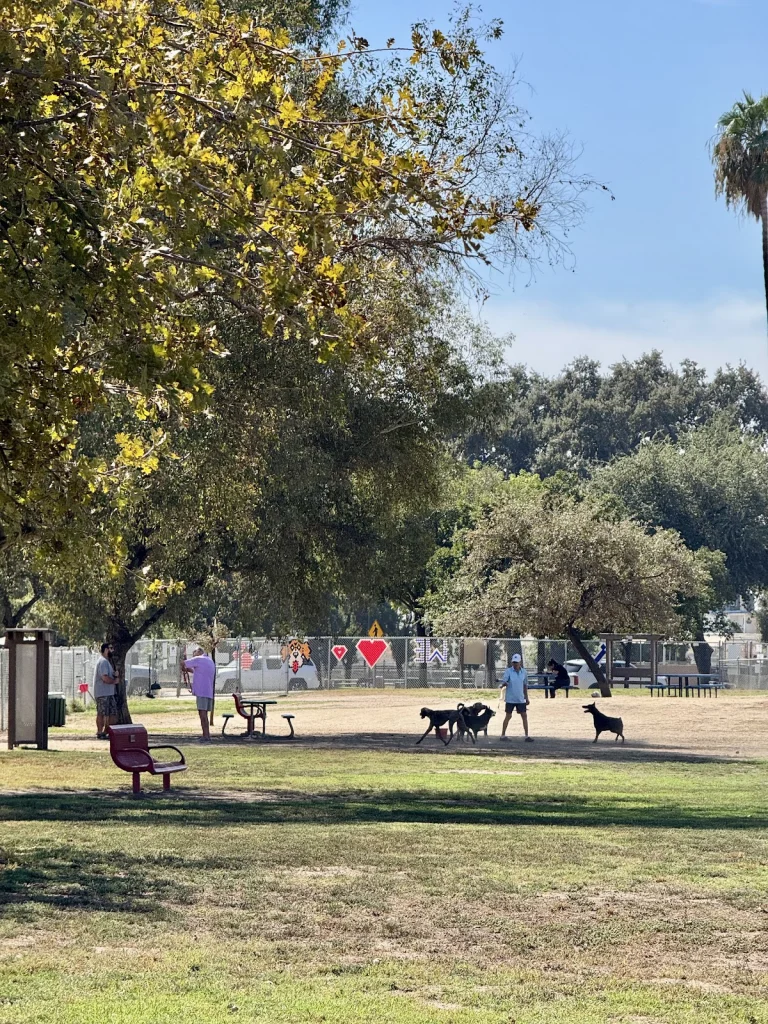 Cody Kelly Dog Bark Park, a dog-friendly dog park in Kings County, California