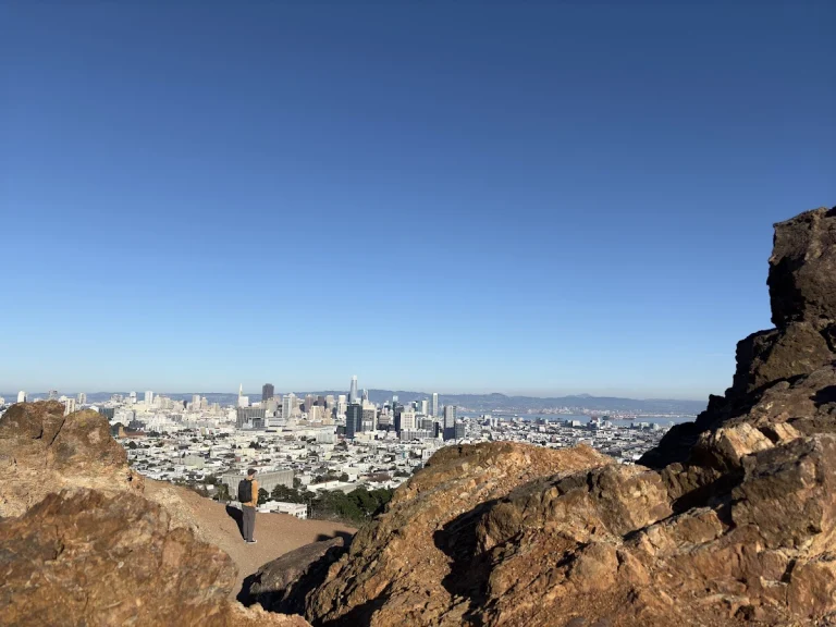 Corona Heights Dog Play Area, a dog-friendly dog park in San Francisco County, California