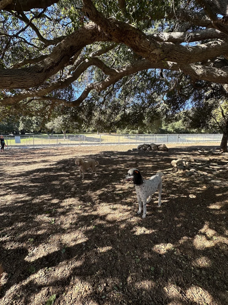 Crescenta Valley Dog Park, a dog-friendly dog park in Los Angeles County, California