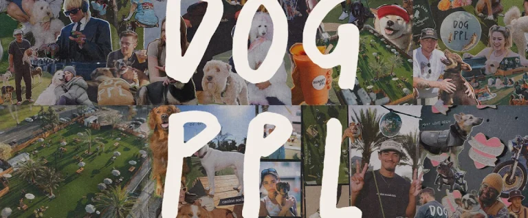 DOG PPL, a dog-friendly dog park in Los Angeles County, California