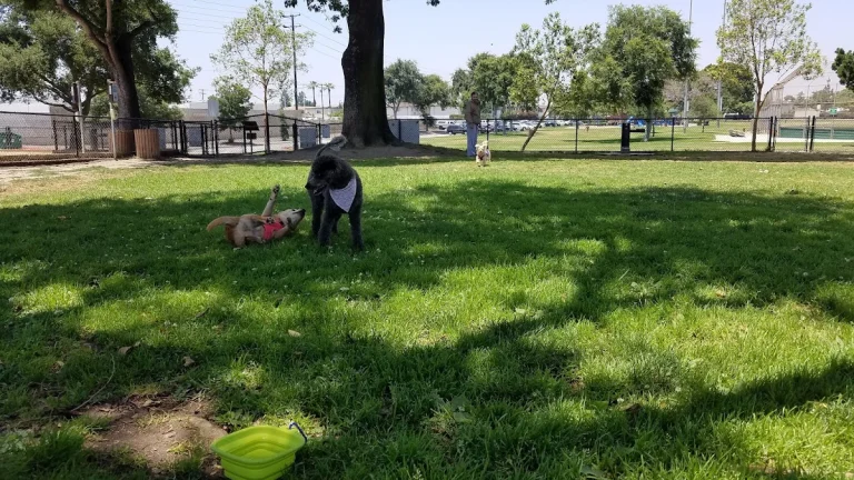 David R. Gafin Dog Park, a dog-friendly dog park in Los Angeles County, California