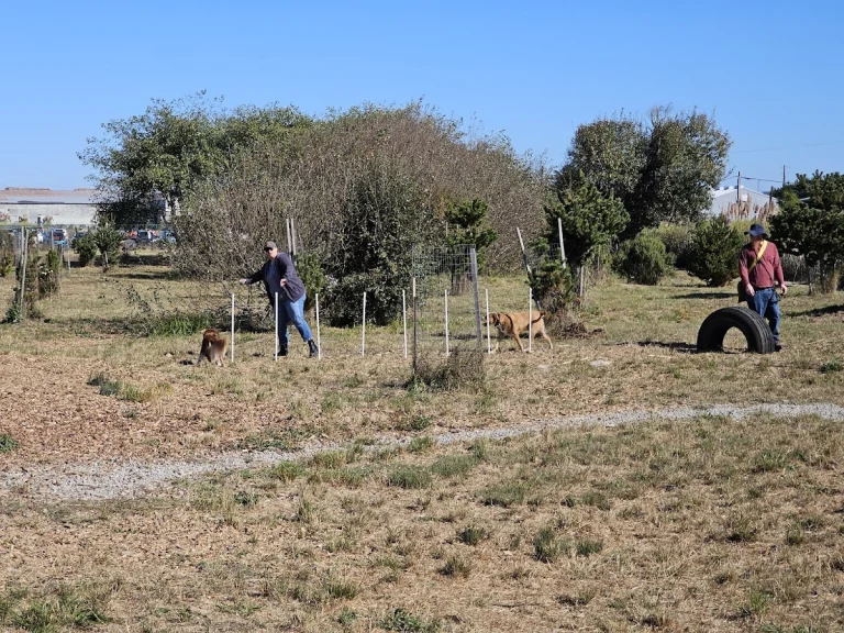 Del Norte Dog Park, a dog-friendly dog park in Humboldt County, California