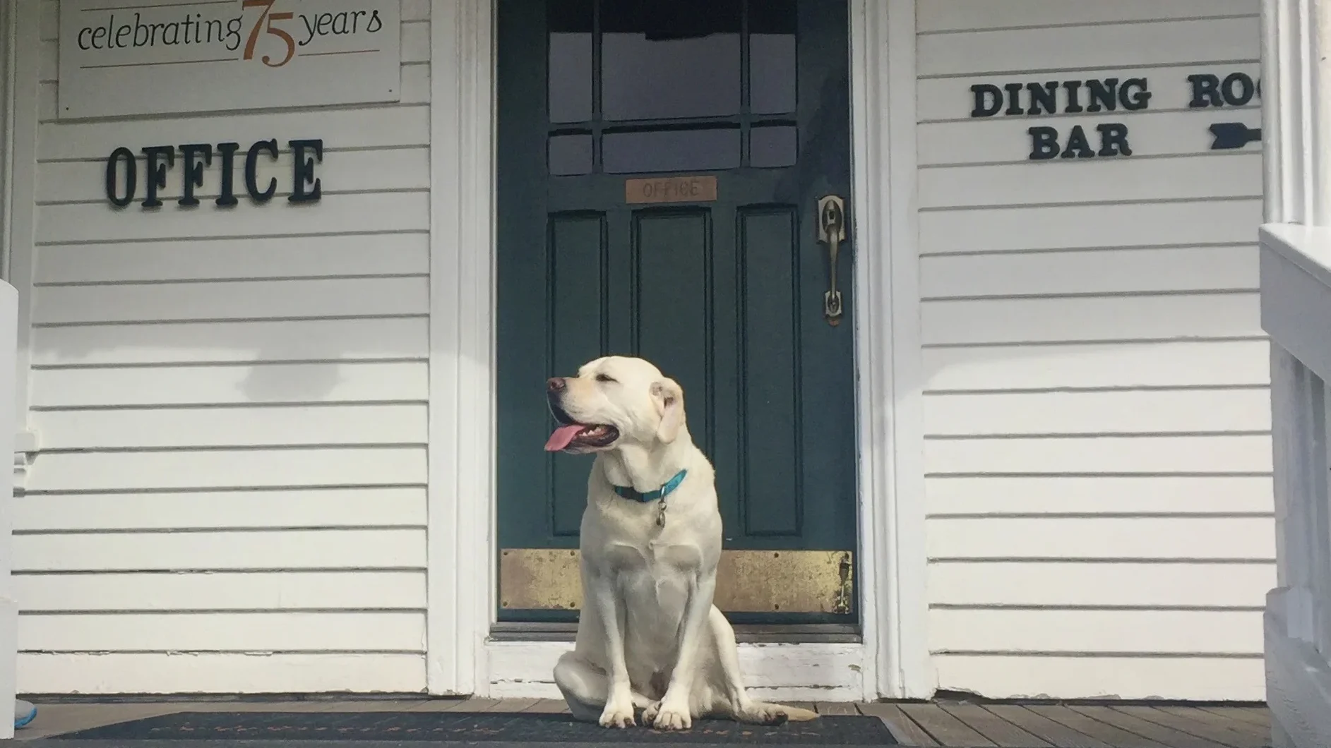 Dog at Little River Inn door