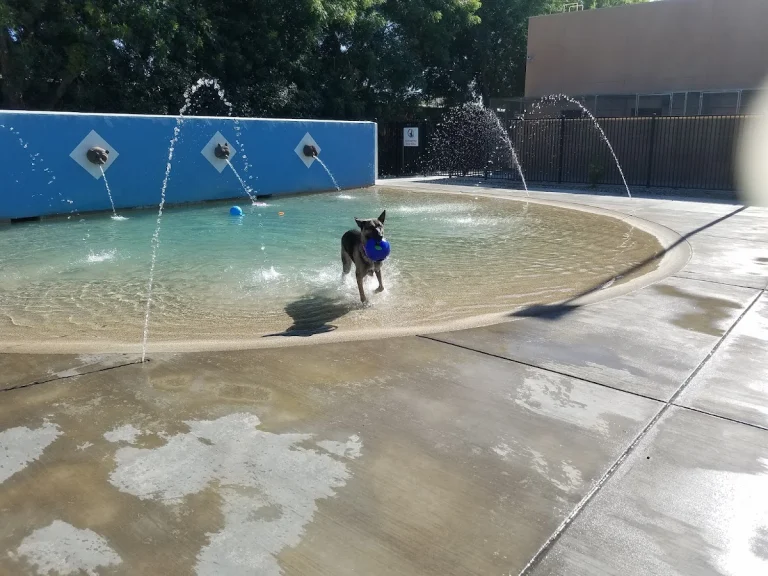 Dr. James W. Thornton Dog Park, a dog-friendly dog park in Fresno County, California