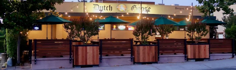 Dutch Goose