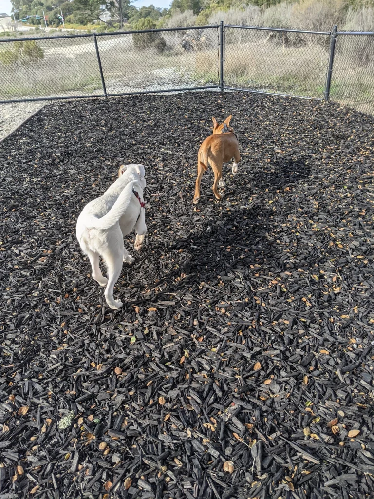 East Garrison Dog Park, a dog-friendly dog park in Monterey County, California
